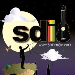 “SDIB”的封面