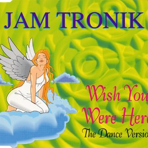 Wish You Were Here (The Dance Version)