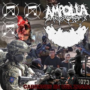 AMPOLLA / CSGO Griefing Unit (AMPOLLA SIDE)