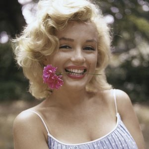 Marilyn Monroe 的头像