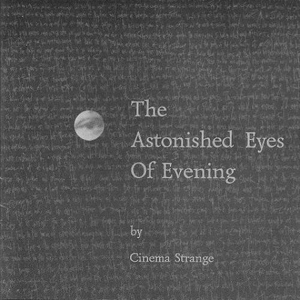 The Astonished Eyes of Evening cover