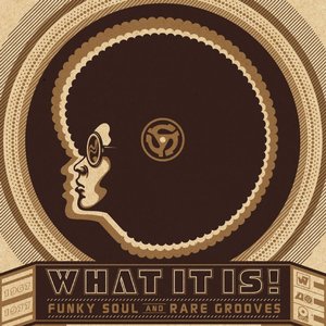 Image for 'What It Is! Funky Soul And Rare Grooves [1967-1977] [w/interactive booklet]'