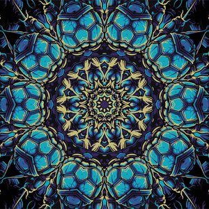 Mindful Behaviour 的头像