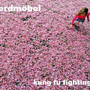 Kung Fu Fighting cover