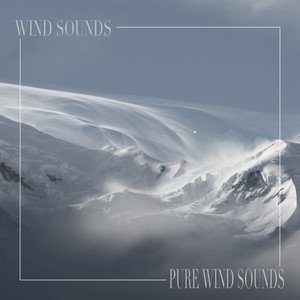 Pure Wind Sounds