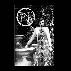 Feast Upon the World of Illusions