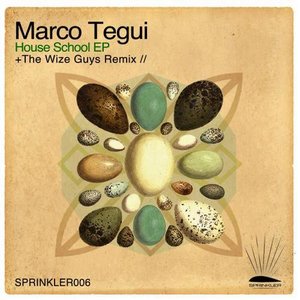 Marco Tegui 的头像