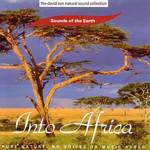 Into Africa