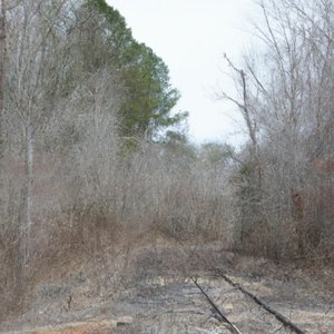 Jaded - Single