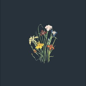 The Path