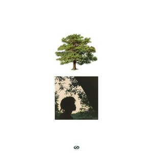 Shade Trees [Explicit]