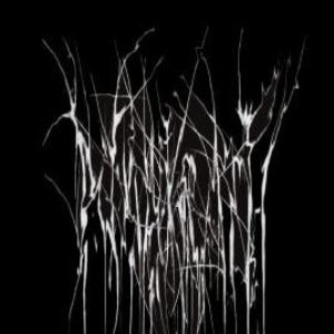 Avatar for Naäkrath