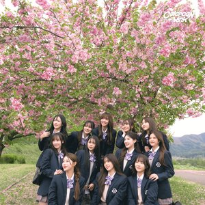 BNK48 的头像