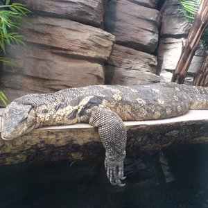 Avatar for vGrrr!!!!