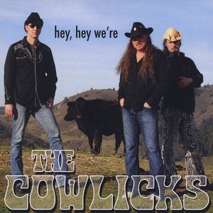 Hey Hey We're the Cowlicks