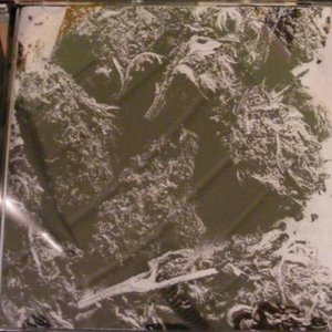 11 Songs