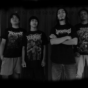 Avatar for Decaying Human