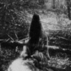 NULLSE† 的头像
