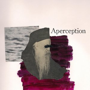 Aperception