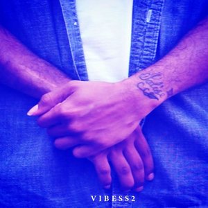 V I B E S S 2