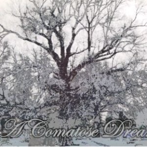 Image for 'A Comatose Dream'