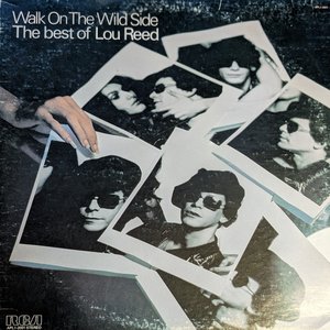 Walk On The Wild Side (The best of Lou Reed)