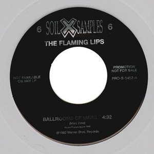 Soil X Samples 6