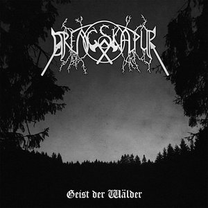 Geist der Wälder / Begrabene Tugenden