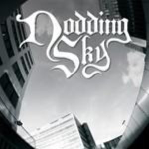 Avatar for Nodding Sky