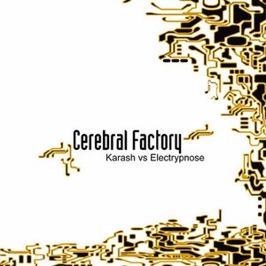 Cerebral Factory için avatar