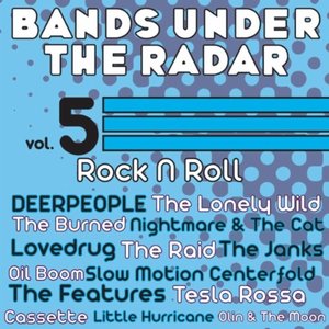 Bands Under the Radar, Vol. 5: Rock N Roll