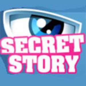 Image for 'Secret Story'