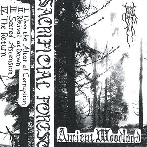 Ancient Woodland
