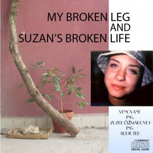 My Broken Leg and Suzan's Broken Life