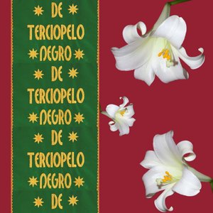 De terciopelo negro
