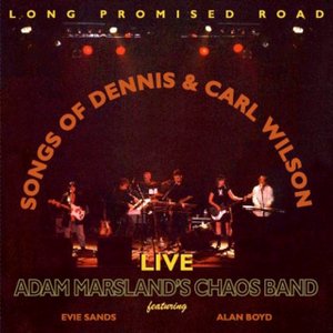 Изображение для 'Long Promised Road: Songs Of Dennis & Carl Wilson'