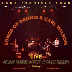 Long Promised Road: Songs Of Dennis & Carl Wilson