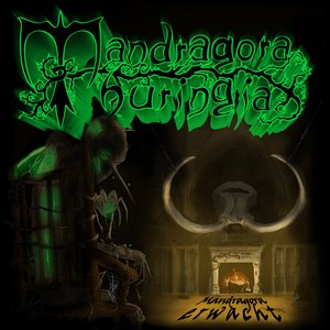 Mandragora Erwacht