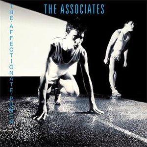 Associates - Even Dogs In The Wild Lyrics - Zortam Music