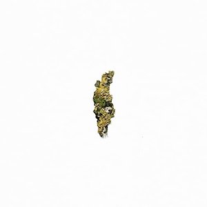 Plangent Compilation Vol. 1