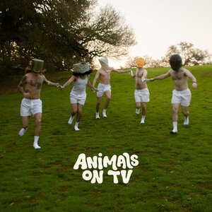 How to Dance with the Lights out and Not Hurt Yourself: A Guidebook by Animals on TV