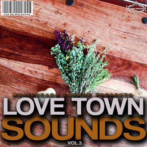 Love Town Sounds, Vol. 3 [Explicit]