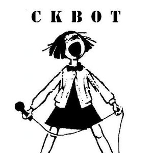 “SKBOT”的封面