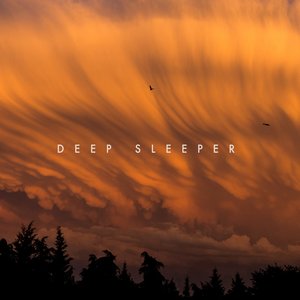 Deep Sleeper