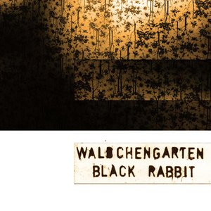 Black Rabbit