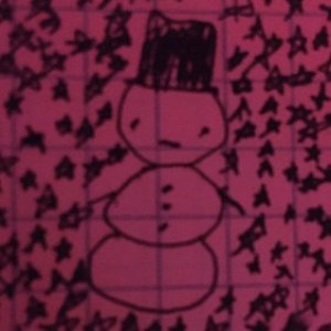 winterbugs 的头像