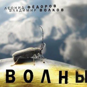 “Волны”的封面