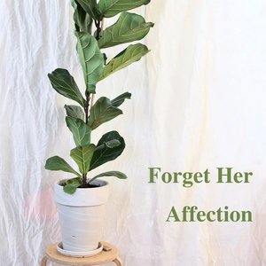 Forget Her Affection