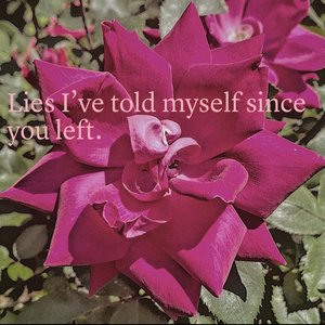 Lies I've told myself since you left - Single