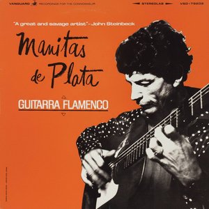 Guitarra Flamenco